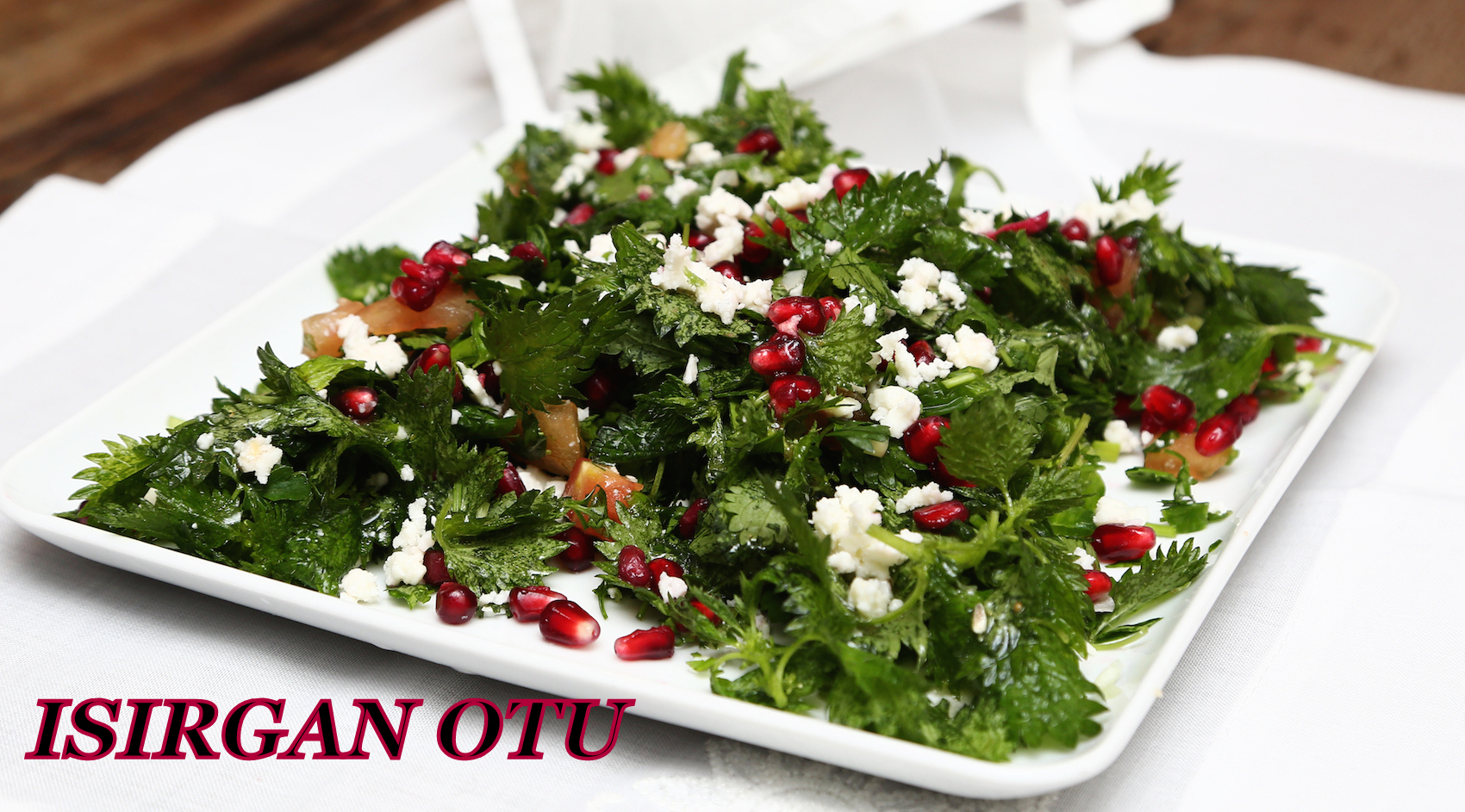 ISIRGAN OTU SALATASI