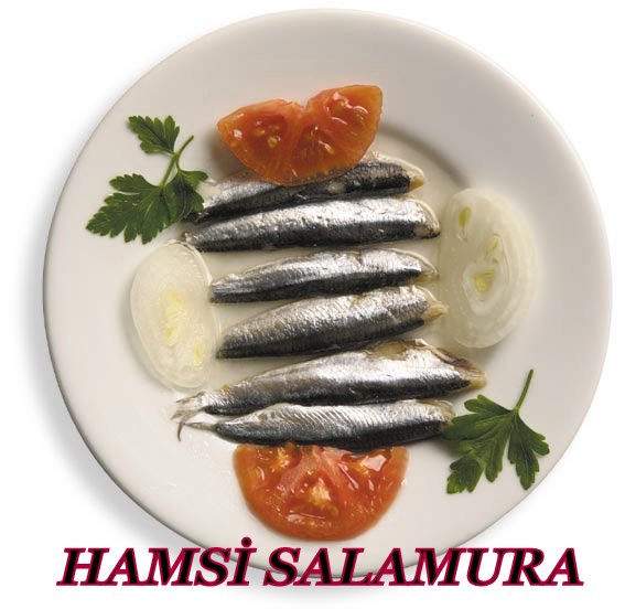 HAMSİ SALAMURA