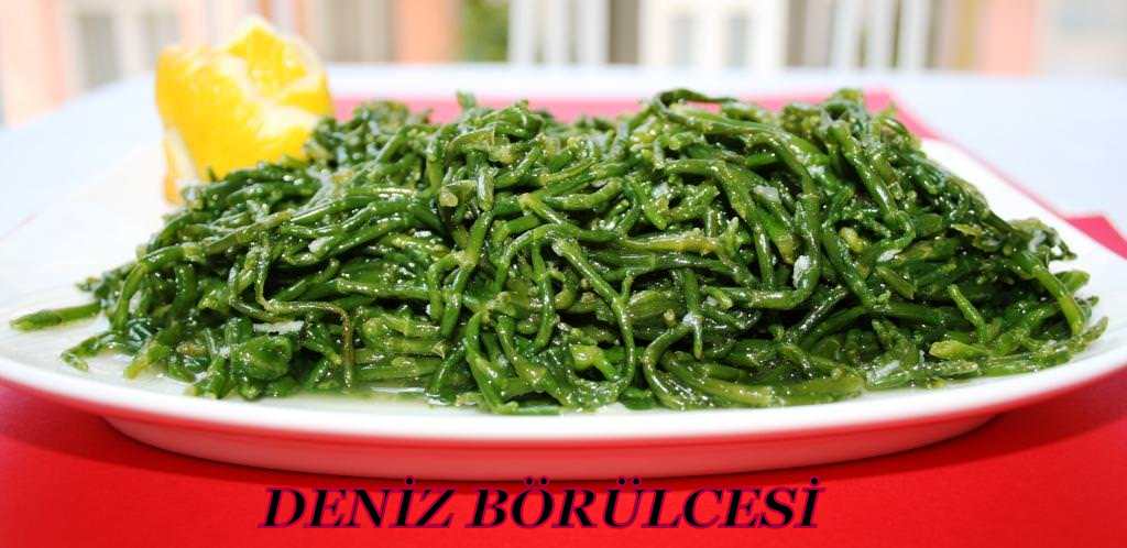 DENİZ BÖRÜLCESİ SALATASI